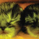 Illustration for article titled What can this glow-in-the-dark kitten teach scientists about AIDS?